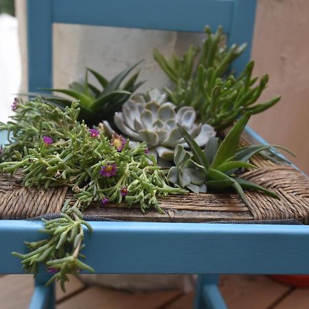 Maison Momes Bize-Minervois Екстер'єр фото